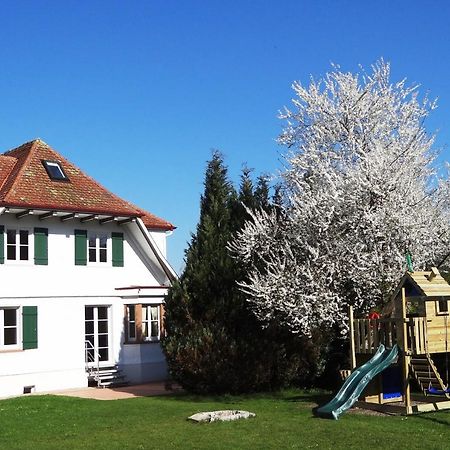 Schwarzwaldhaus24 - Ferienhaus Mit Sauna, Whirlpool Und Kamin Aichhalden Exterior photo